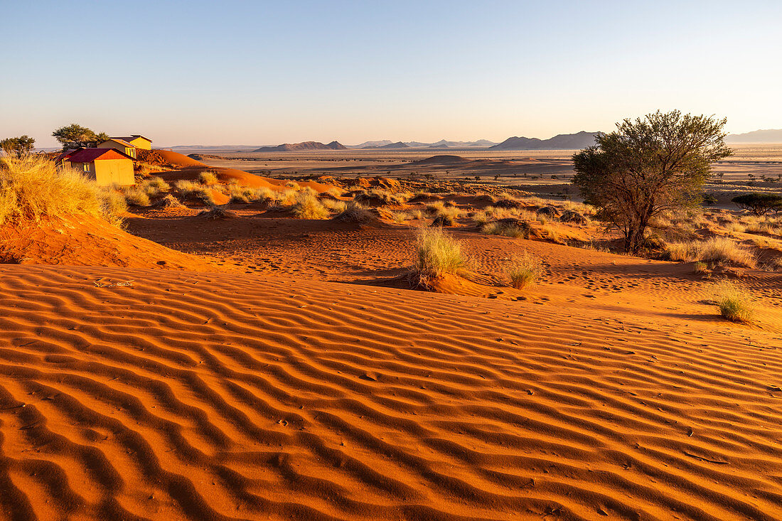 Rote Dünen der ältesten Wüste der Welt, Namib Naukluft National Park, Namibia, Afrika