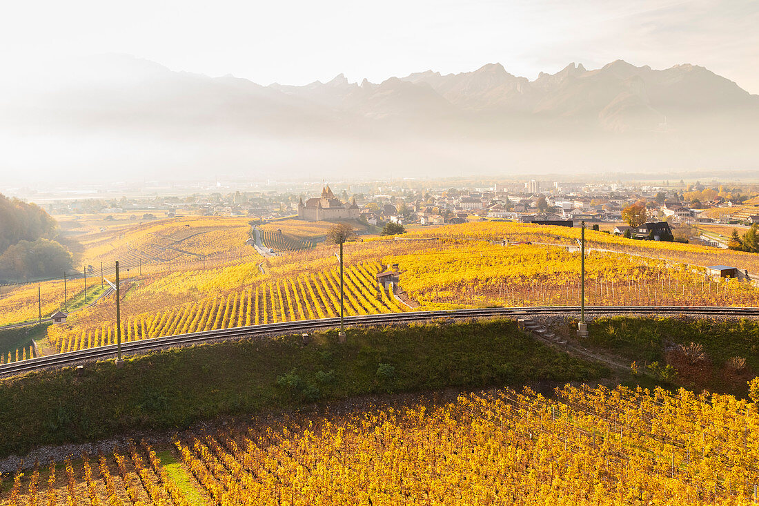 Blick auf die mittelalterliche Burg Aigle und die umliegenden Weinberge und Eisenbahn im Herbst, Kanton Waadt, Schweiz