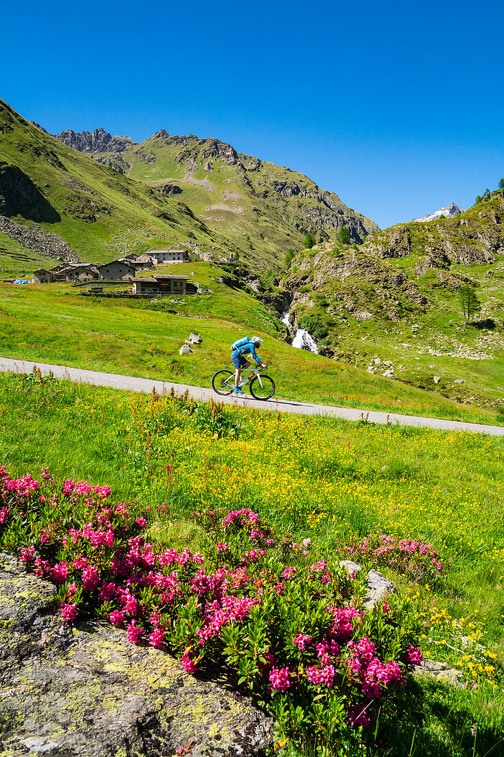 Mountainbiker im Valgrosina-Tals, Malghera, Grosio, Sondrio Bezirk, Lombardei, Italien