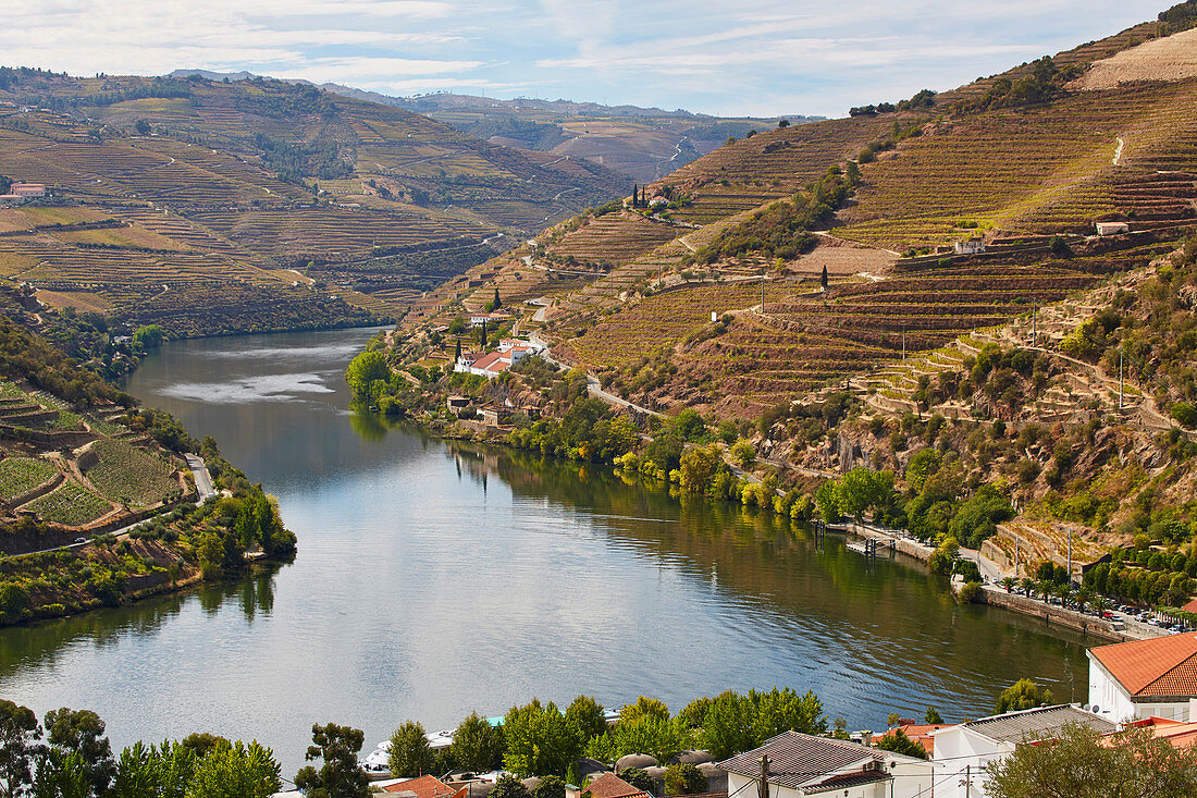 Vineyards at the river Douro near Pinhao, District Vila Real, Douro, Portugal, Europe