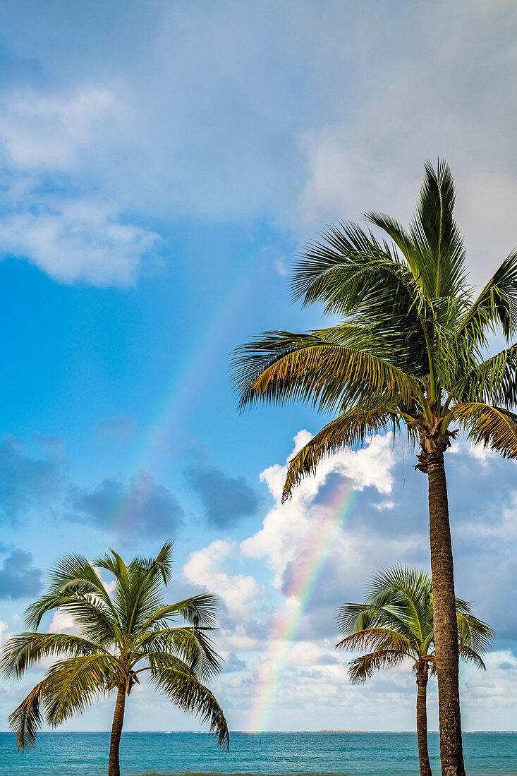 Traumstrand am Atlantik mit Palmen und Regenbogen, San Juan, Puerto Rico, Karibik, USA