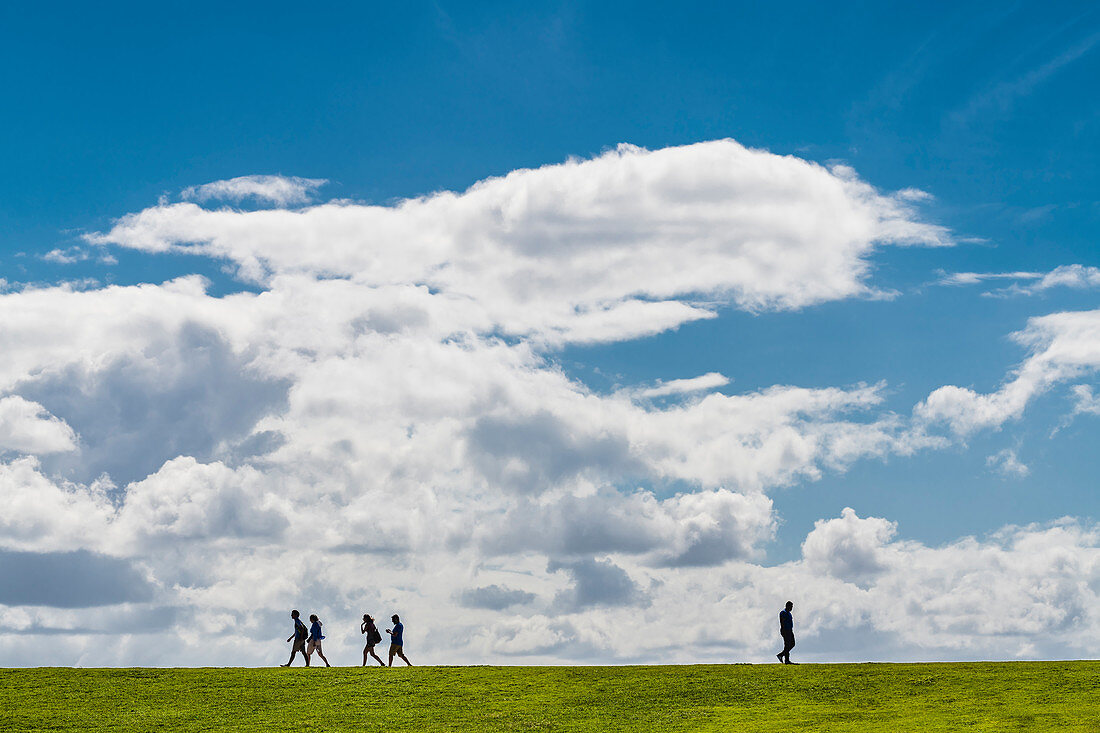 Persons as silhouette in front of a blue sky with clouds, San Juan, Puerto Rico, Caribbean, USA
