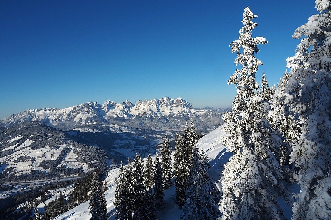 Landschaft mit wildem Kaiser bei Kitzbühel, Winter in Tirol, Österreich