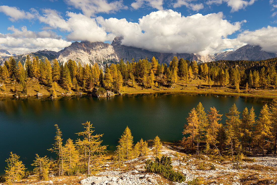 Blick auf den See Lago Federa im Herbst, Cortina d'Ampezzo, Belluno, Südtirol, Italien, Europa