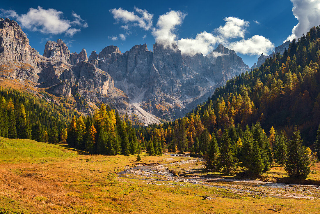 Venegia valley near Malga Venegiotta di Tonadico with Dolomite mountains in background, Trentino, Italy