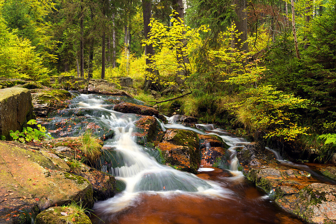 Ein Fluss durch das Bodetal im Herbst, Harz, Sachsen-Anhalt, Deutschland, Europa