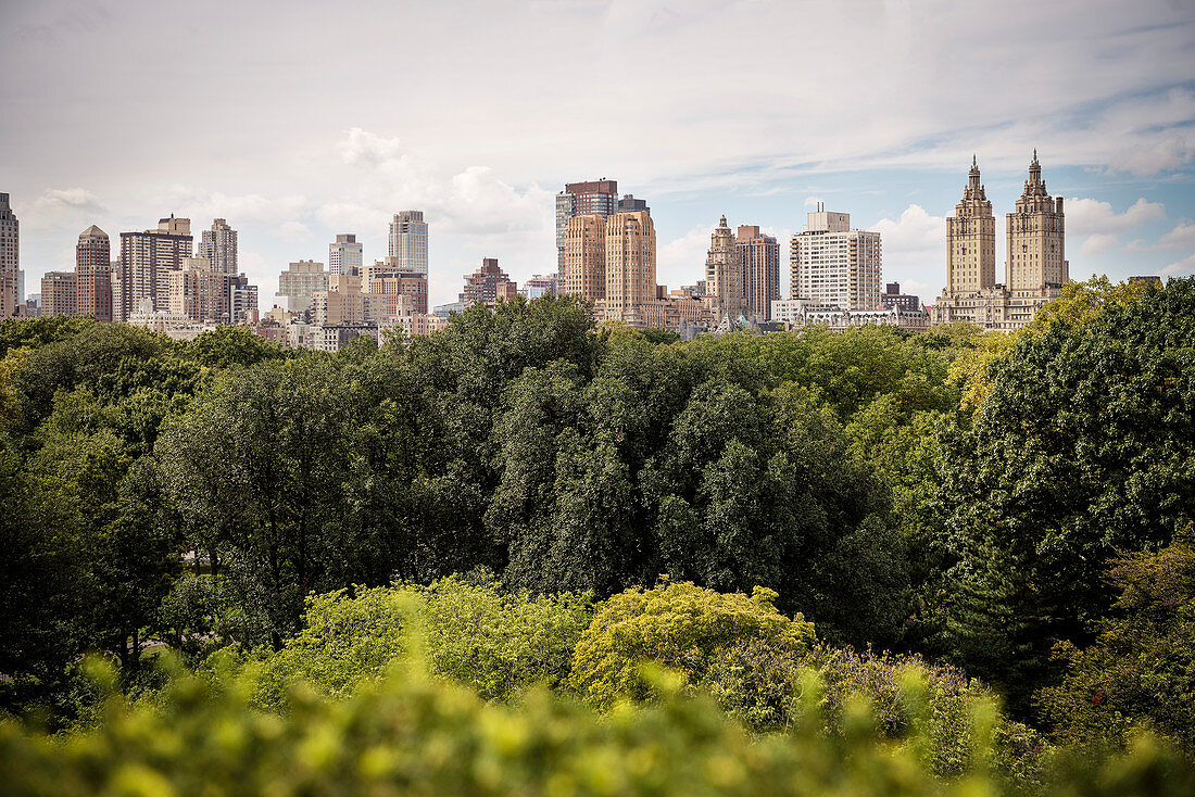 Blick vom Dach des Metropolitan Museum of Art auf den umliegenden Central Park, 5th Avenue, Manhattan, New York City, Vereinigte Staaten von Amerika, USA, Nordamerika