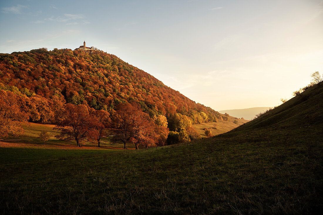 Blick zur Burg Teck, Kirchheim Teck, Biosphärengebiet, Schwäbische Alb, Baden-Württemberg, Deutschland