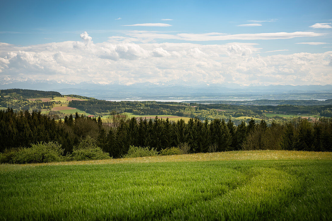 Blick vom Höchsten (Name vom Berg) über den Bodensee hin zu den Alpen, Baden-Württemberg, Deutschland