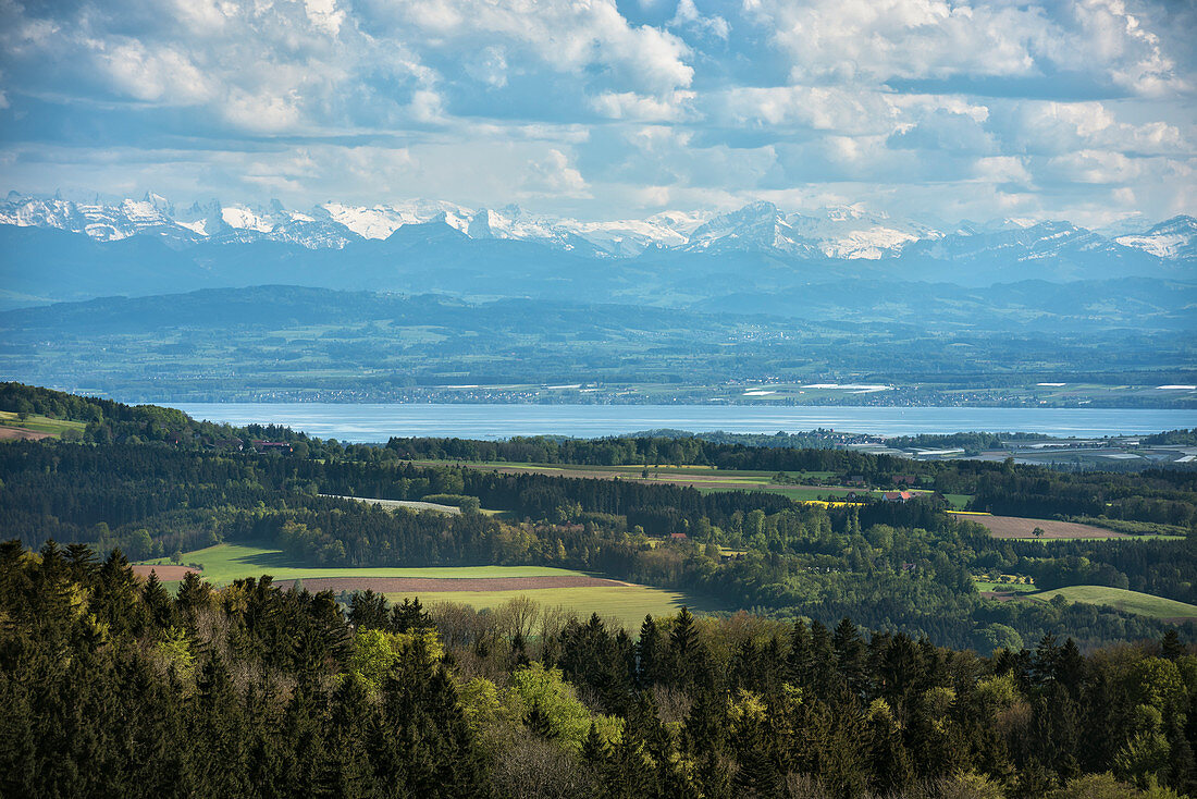 Blick vom Höchsten (Name vom Berg) über den Bodensee hin zu den Alpen, Baden-Württemberg, Deutschland