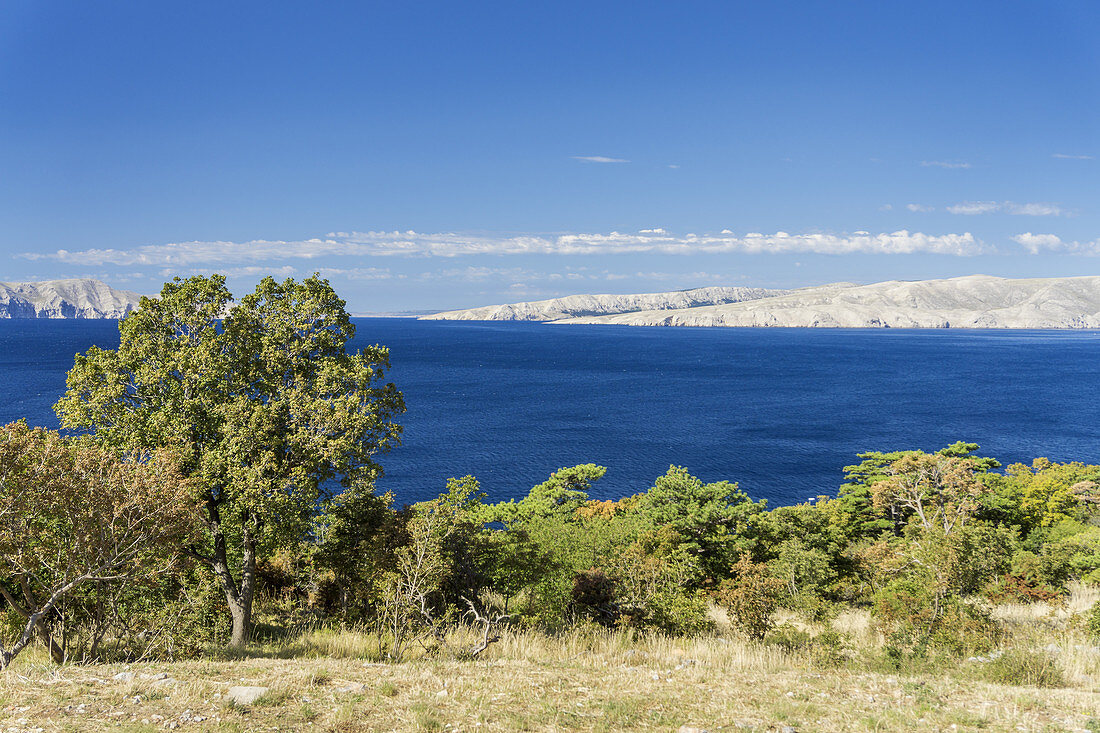 Blick von der Küstenstraße auf die Insel Rab, Primorje-Gorski kotar, Kvarner Bucht, Kroatien, Südeuropa, Europa