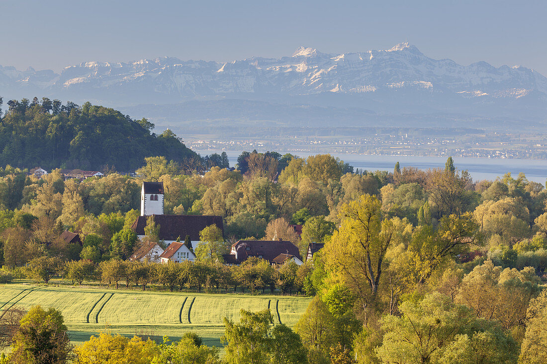 Blick über Uhldingen-Mühlhofen auf den Bodensee dahinter der Säntis in den Appenzeller Alpen in der Ostschweiz, Baden, Baden-Württemberg, Süddeutschland, Deutschland, Europa