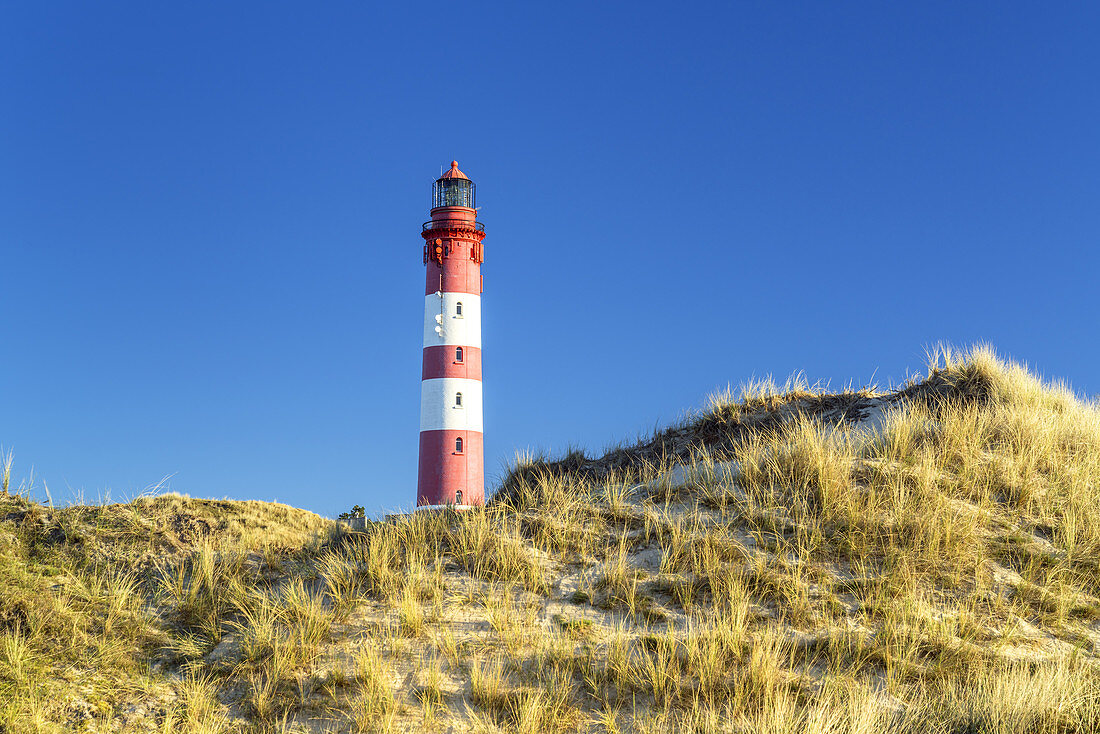 Lighthouse in the dunes on the North Frisian Island Amrum, Nebel, North Sea, Schleswig-Holstein, Northern Germany, Germany, Europe