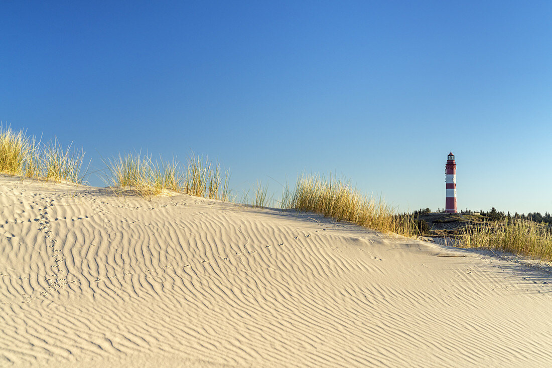 Lighthouse in the dunes on the North Frisian Island Amrum, Nebel, North Sea, Schleswig-Holstein, Northern Germany, Germany, Europe