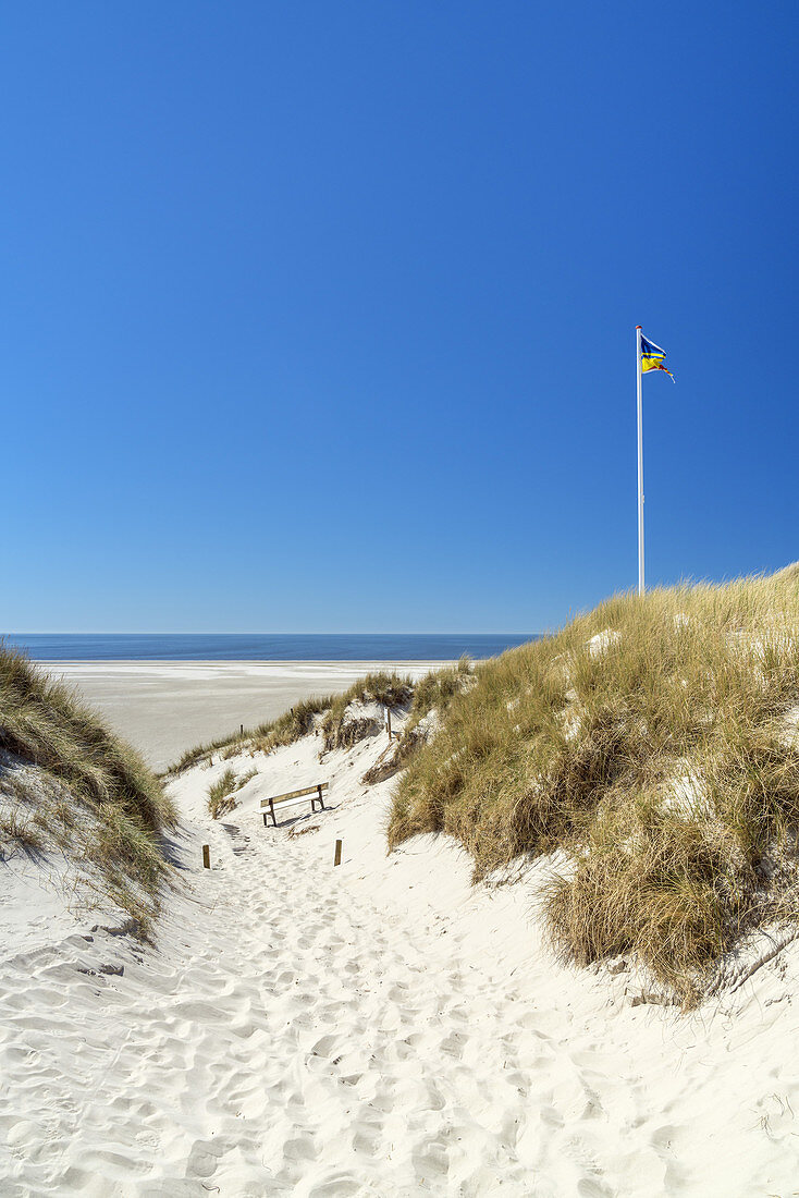Path through the dunes to the beach, Nebel, North Frisian Island Amrum, North Sea, Schleswig-Holstein, Northern Germany, Germany, Europe