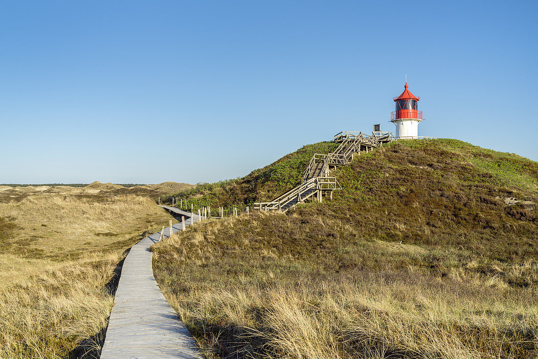 Lighthouse in the dunes on the North Frisian Island Amrum, Norddorf, North Sea, Schleswig-Holstein, Northern Germany, Germany, Europe