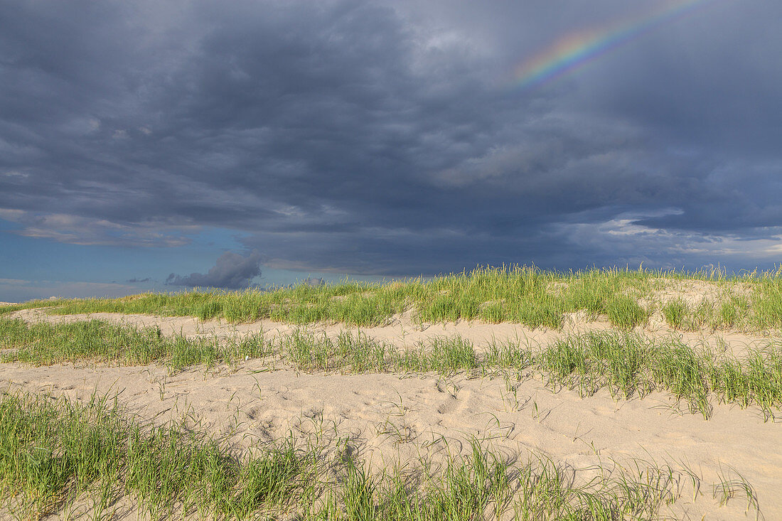 Dünen in St. Peter-Ording, Halbinsel Eiderstedt, Nordfriesland, Schleswig-Holstein, Norddeutschland, Deutschland, Europa