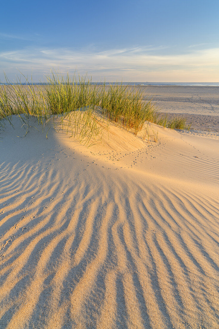 Dünen am Strand auf der Insel Norderney, Ostfriesland, Niedersachsen, Norddeutschland, Deutschland, Europa