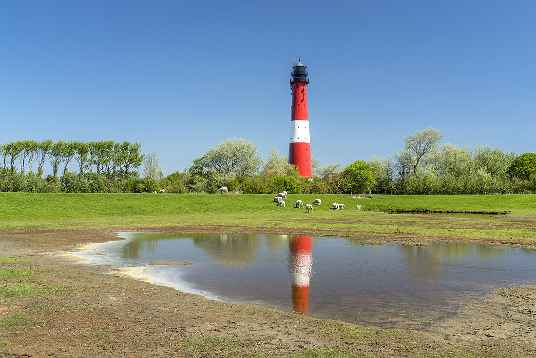 Leuchtturm auf der Insel Pellworm, Nordfriesische Inseln, Schleswig-Holstein, Norddeutschland, Deutschland, Europa