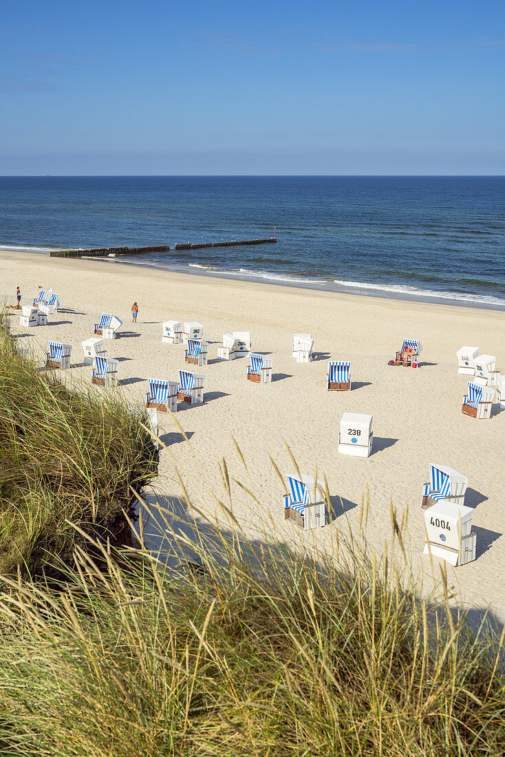 Beach with beach chairs in Kampen, North Frisian Island Sylt, North Sea Coast, Schleswig-Holstein, Northern Germany, Germany, Europe