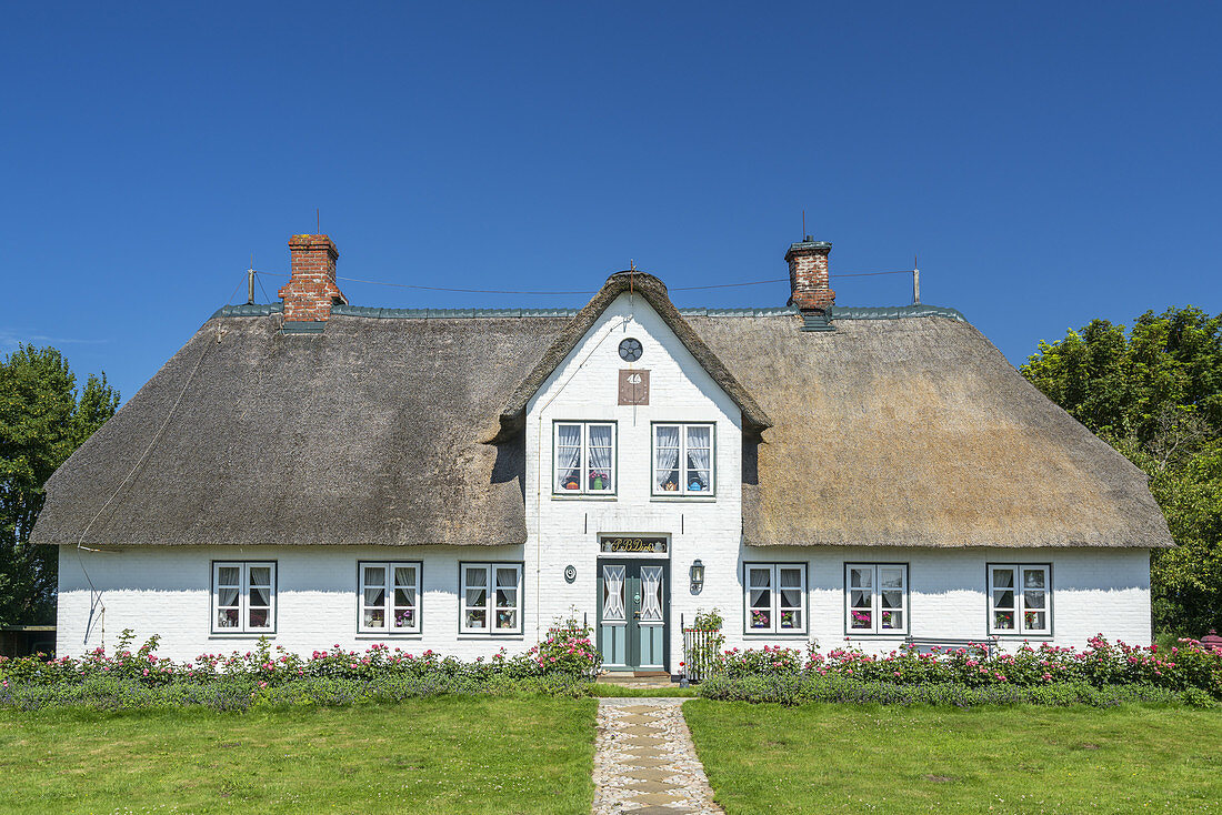 Friesenhaus in Morsum, Insel Sylt, Nordfriesland, Schleswig-Holstein, Norddeutschland, Deutschland, Europa