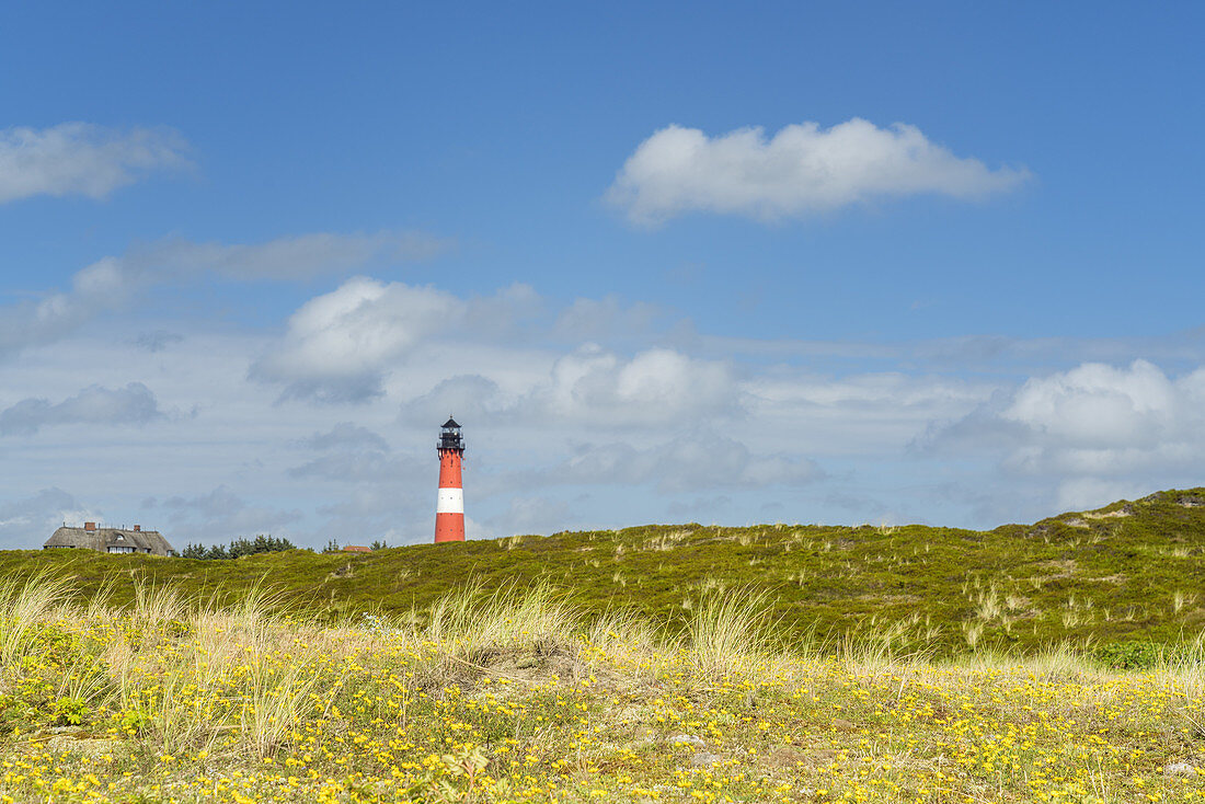 Lighthouse in the dunes in Hörnum, North Frisian Island Sylt, North Sea coast, Schleswig-Holstein, Northern Germany, Germany, Europe