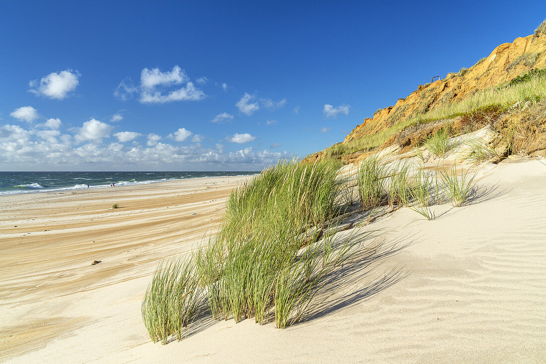 Beach Rotes Kliff in Kampen, North Frisian Island Sylt, North Sea coast, Schleswig-Holstein, Northern Germany, Germany, Europe