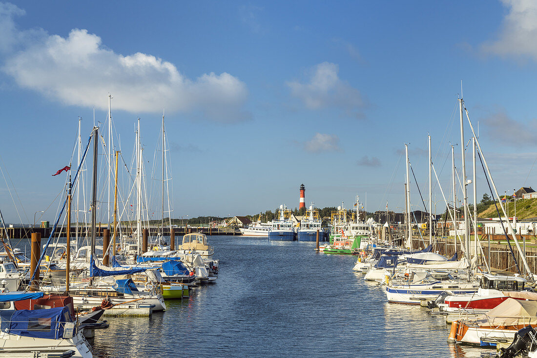 Leuchtturm und Hafen von Hörnum, Insel Sylt, Nordfriesland, Schleswig-Holstein, Norddeutschland, Deutschland, Europa