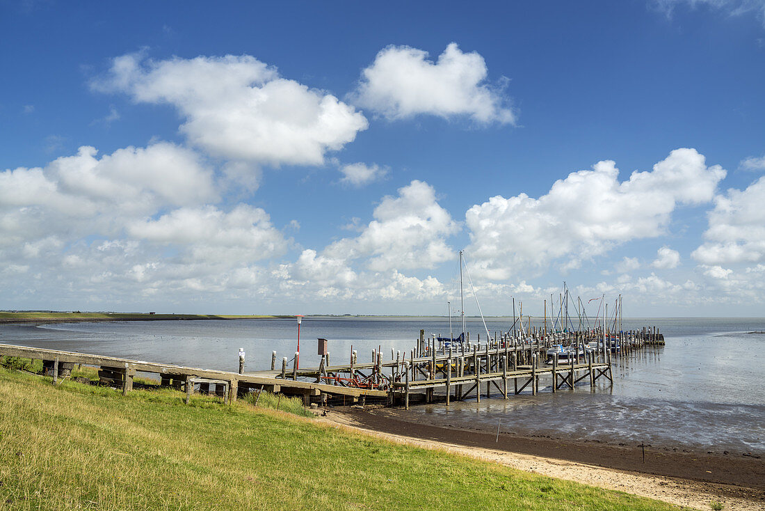 Hafen in Rantum, Insel Sylt, Nordfriesland, Schleswig-Holstein, Norddeutschland, Deutschland, Europa