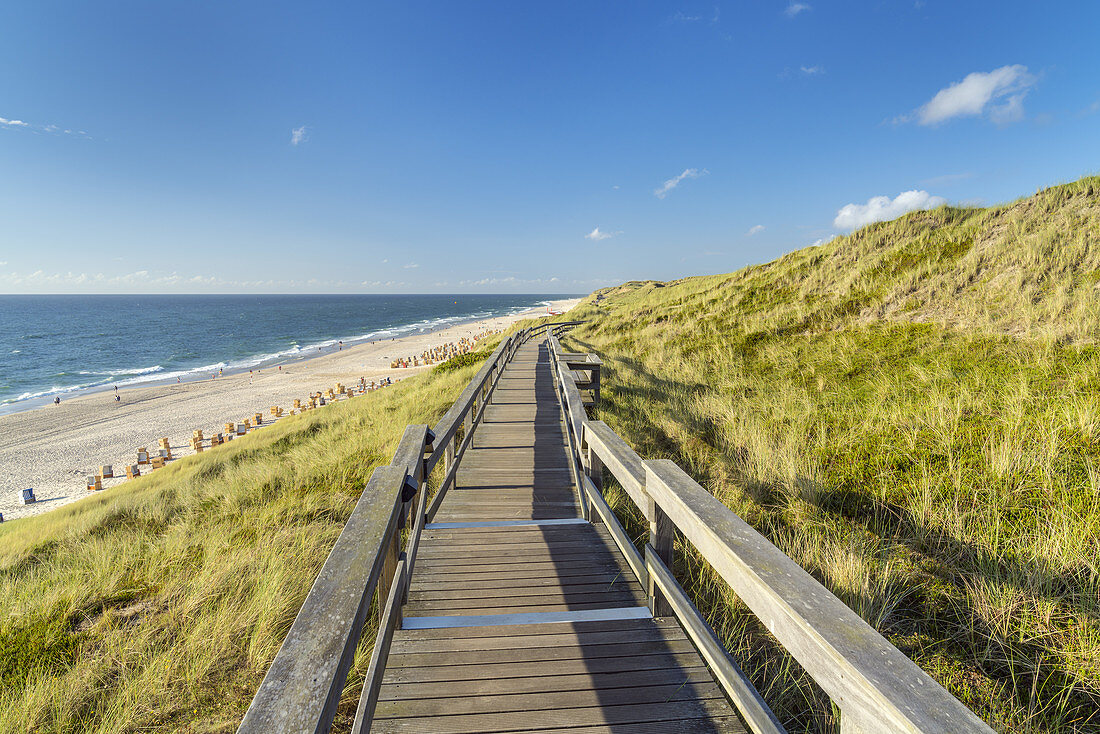 Way through the dunes to the beach in Wenningstedt, North Frisian Island Sylt, North Sea coast, Schleswig-Holstein, Northern Germany, Germany, Europe