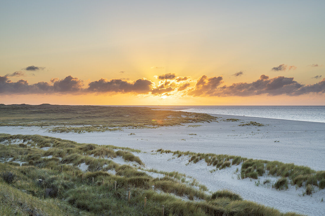 Sunset at the beach on the peninsula Ellenbogen, List, North Frisian Island Sylt, North Sea coast, Schleswig-Holstein, Northern Germany, Germany, Europe