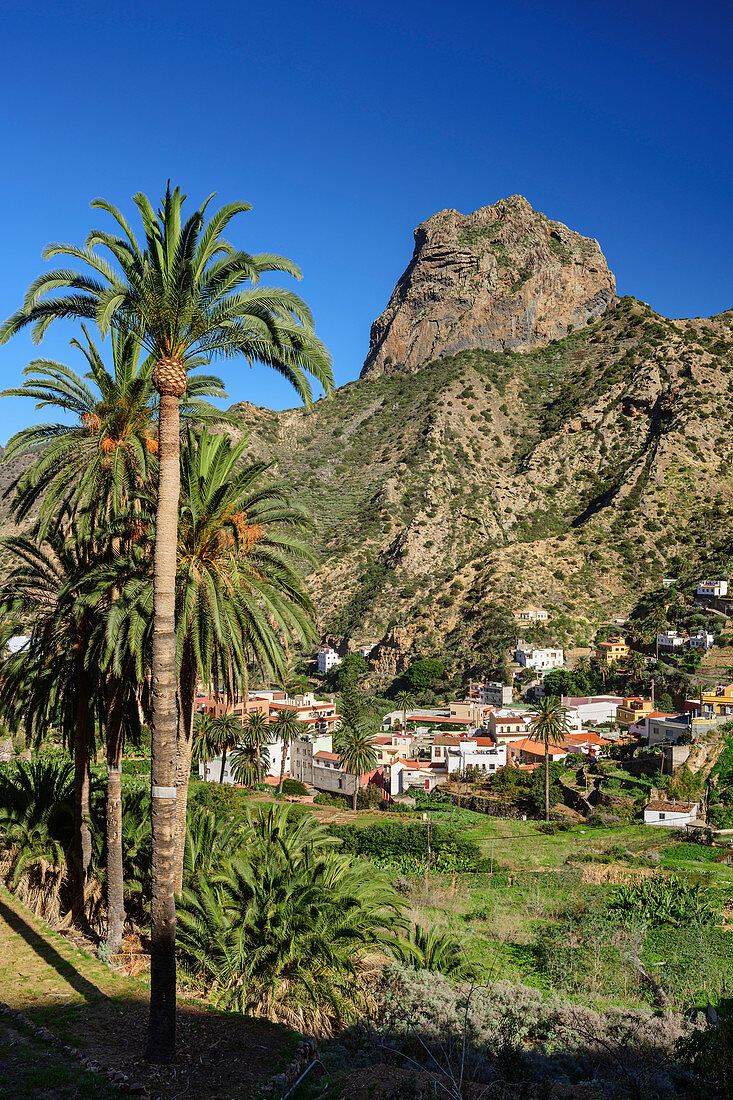 Häuser und Palmgärten von Vallehermoso mit Roque Cano, La Gomera, Kanarische Inseln, Kanaren, Spanien