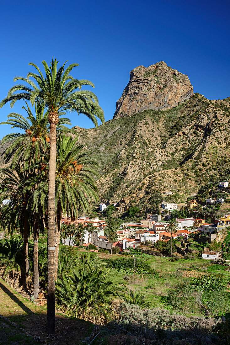 Houses and palm gardens of Vallehermoso with Roque Cano, La Gomera, Canary Islands, Canaries, Spain