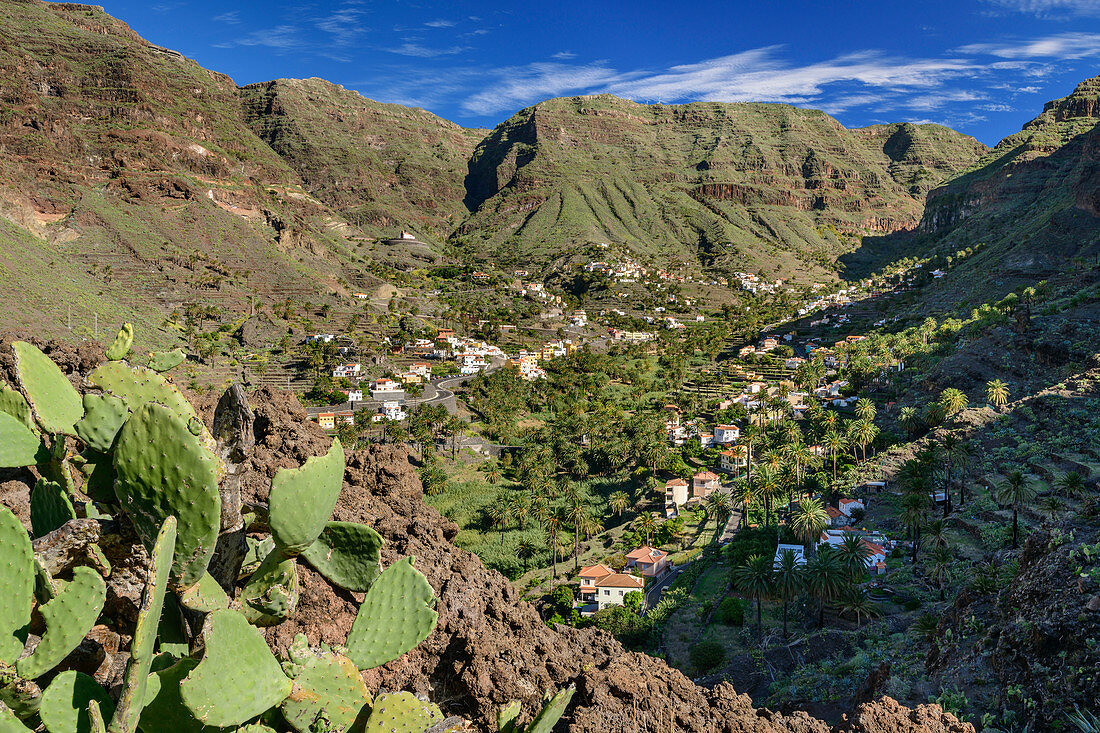 Häuser und Palmgärten im Valle Gran Rey, La Gomera, Kanarische Inseln, Kanaren, Spanien