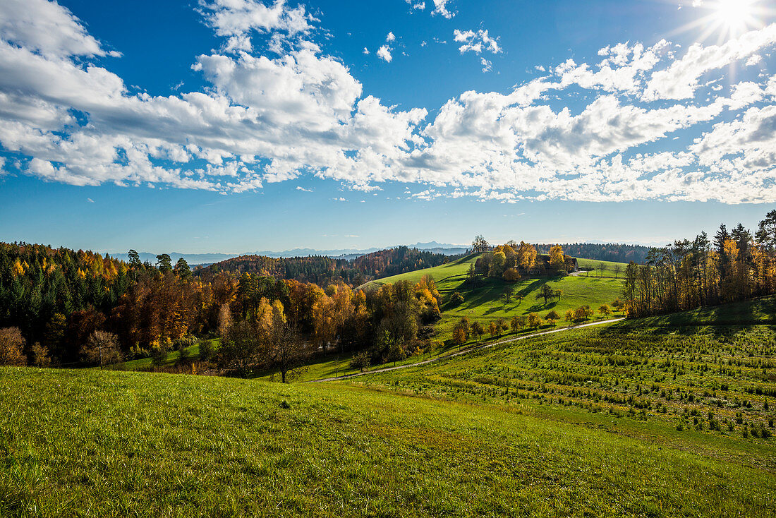 Landscape in autumn with Swiss Alps, near Salem, Lake Constance, Baden-Württemberg, Germany