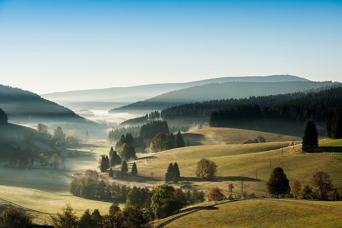 Morning fog in autumn, Jostal, near Neustadt, Black Forest, Baden-Württemberg, Germany