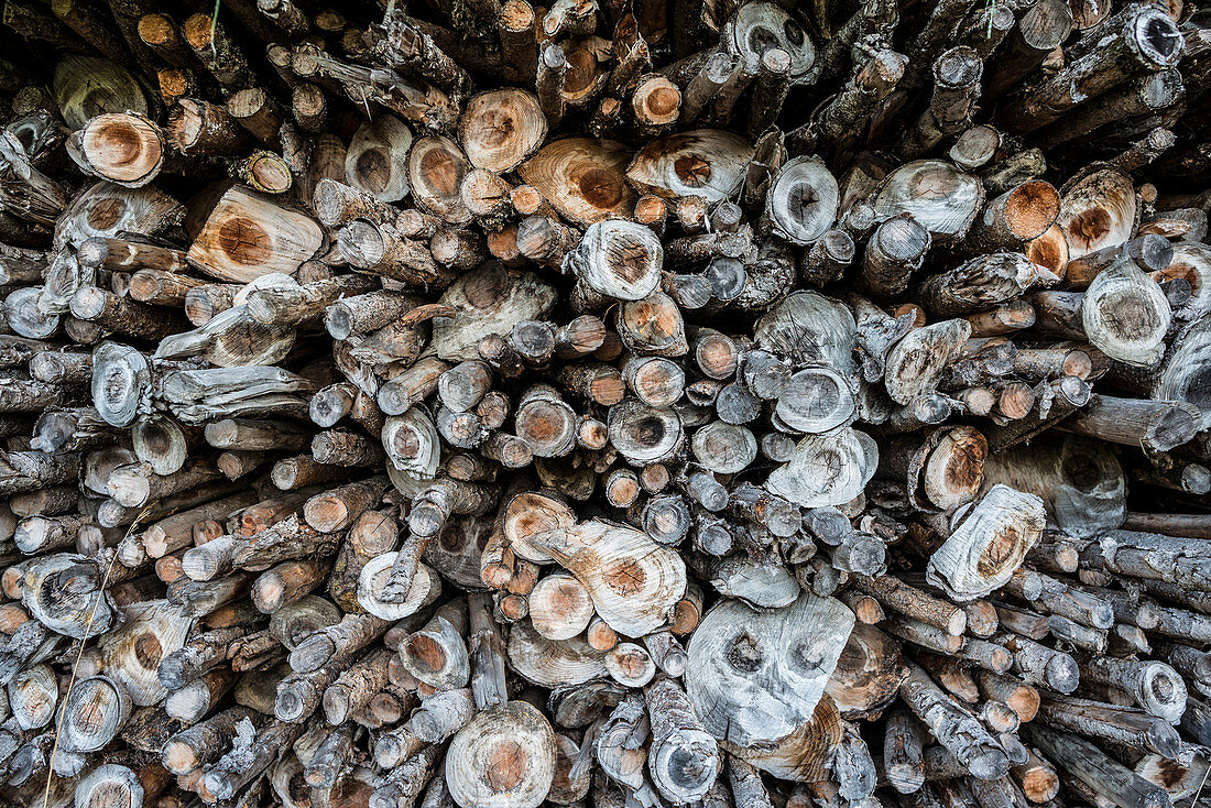 Stacked firewood,, Black Forest, Baden-Württemberg, Germany