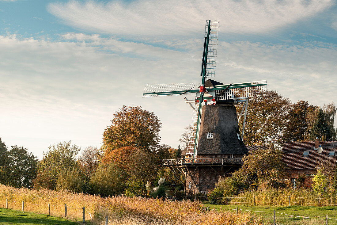 Windmühle Sengwarden bei Wilhelmshaven im Herbst, Niedersachsen, Deutschland, Europa