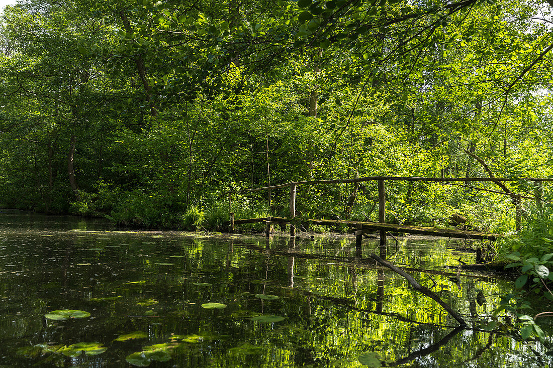 Alte Holzbrücke beim Wasserwandern durch das wilde UNESCO Biosphärenreservat Spreewald in Brandenburg