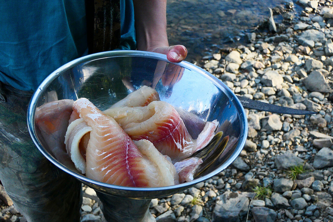 Schüssel mit frisch aus dem Yukon River gefangenen Fisch, bereit zum Grillen, Yukon, Kanada
