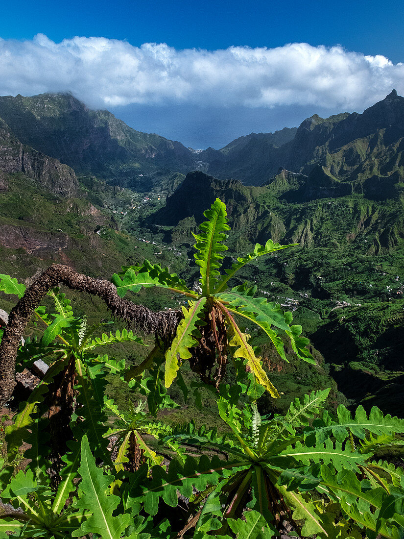 Im Gebirge von Santo Antao, Kap Verde