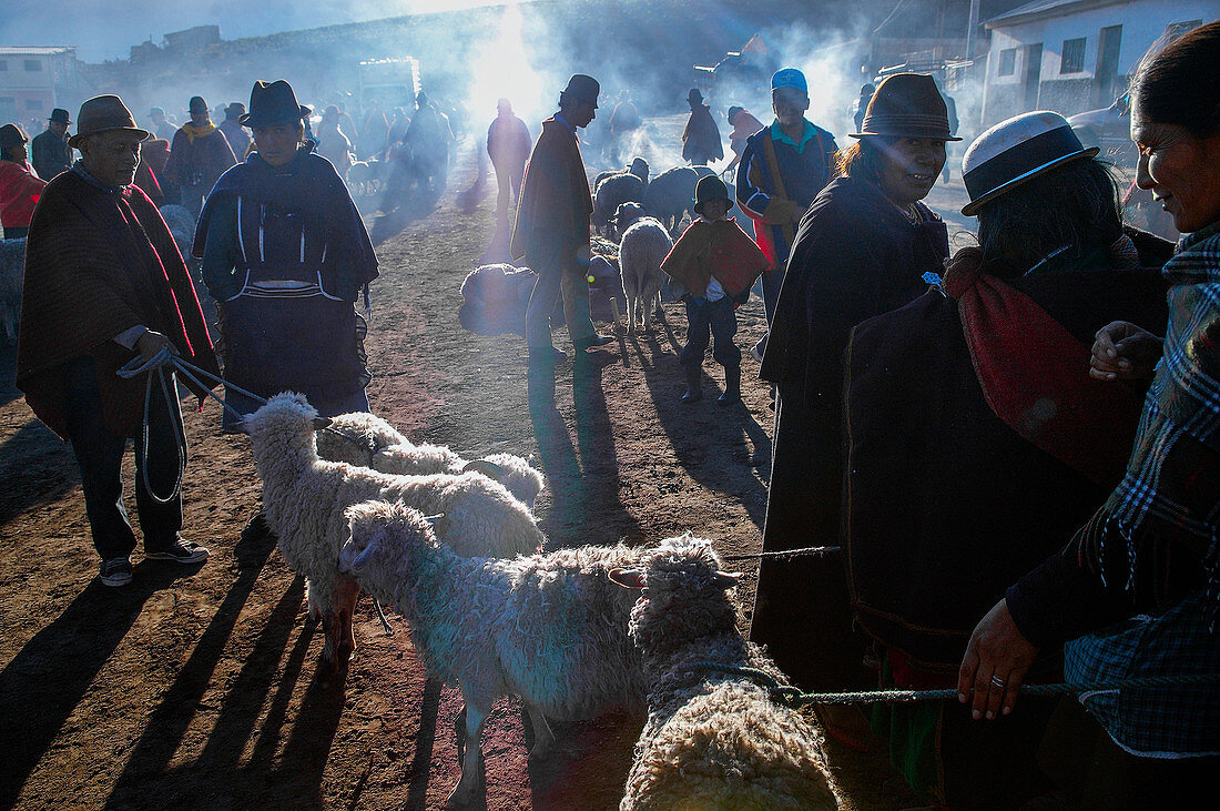 Indios mit Schafen auf dem traditionellen Markt in Guamote, Ecuador