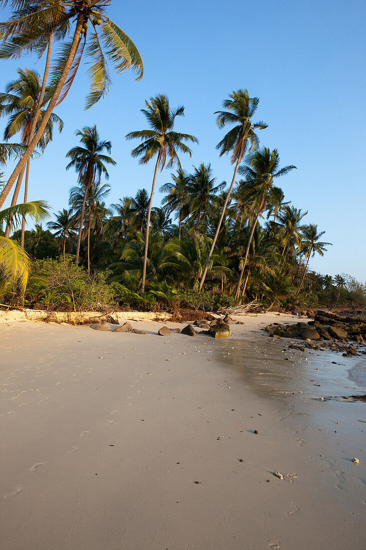 Palm trees, tropical dream beach, Koh Kood, Koh Kut, Trat, Thailand