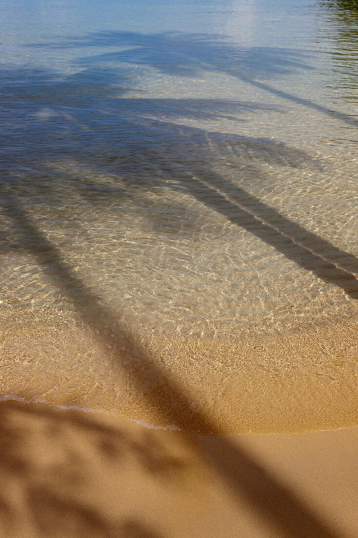 Schatten von Kokospalmen auf kristalklarem Wasser an tropischem Traumstrand, Koh Kood, Koh Kut, Trat, Thailand