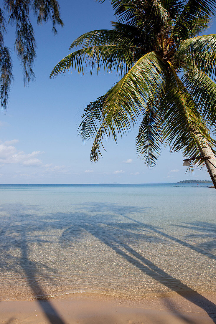 Palm trees, tropical dream beach, A Na Lay Resort, Koh Kood, Koh Kut, Trat, Thailand