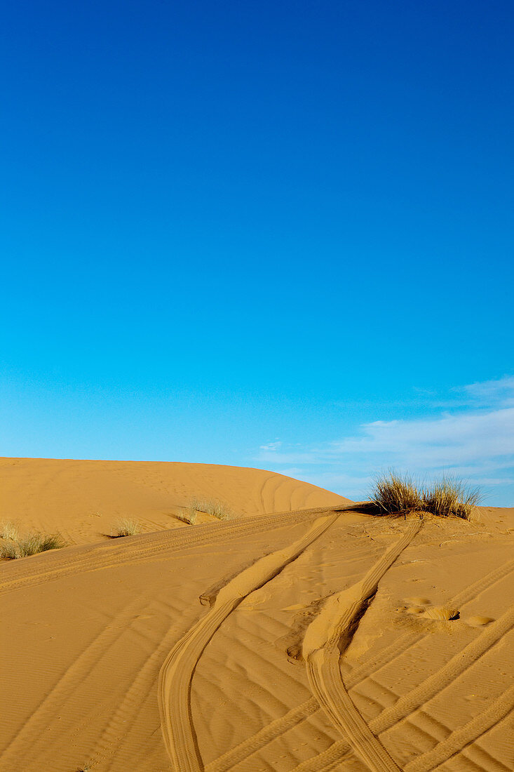 Quad tracks in the dunes of the Erg Chebbi desert, Erg Chebbi, Merzouga, Errachidia, Morocco