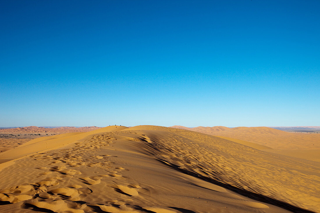 Dune landscape of Erg Chebbi desert, Erg Chebbi, Merzouga, Errachidia, Morocco