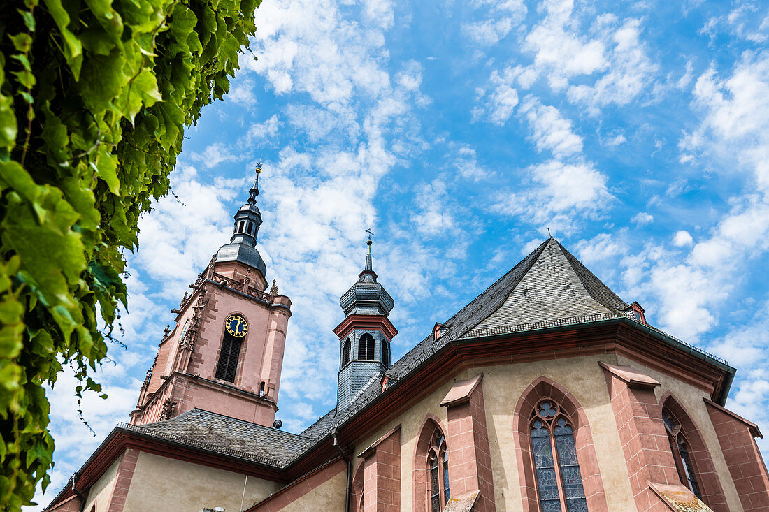 Pfarrkirche St. Peter und Paul, Eltville, Rheingau, Hessen, Deutschland