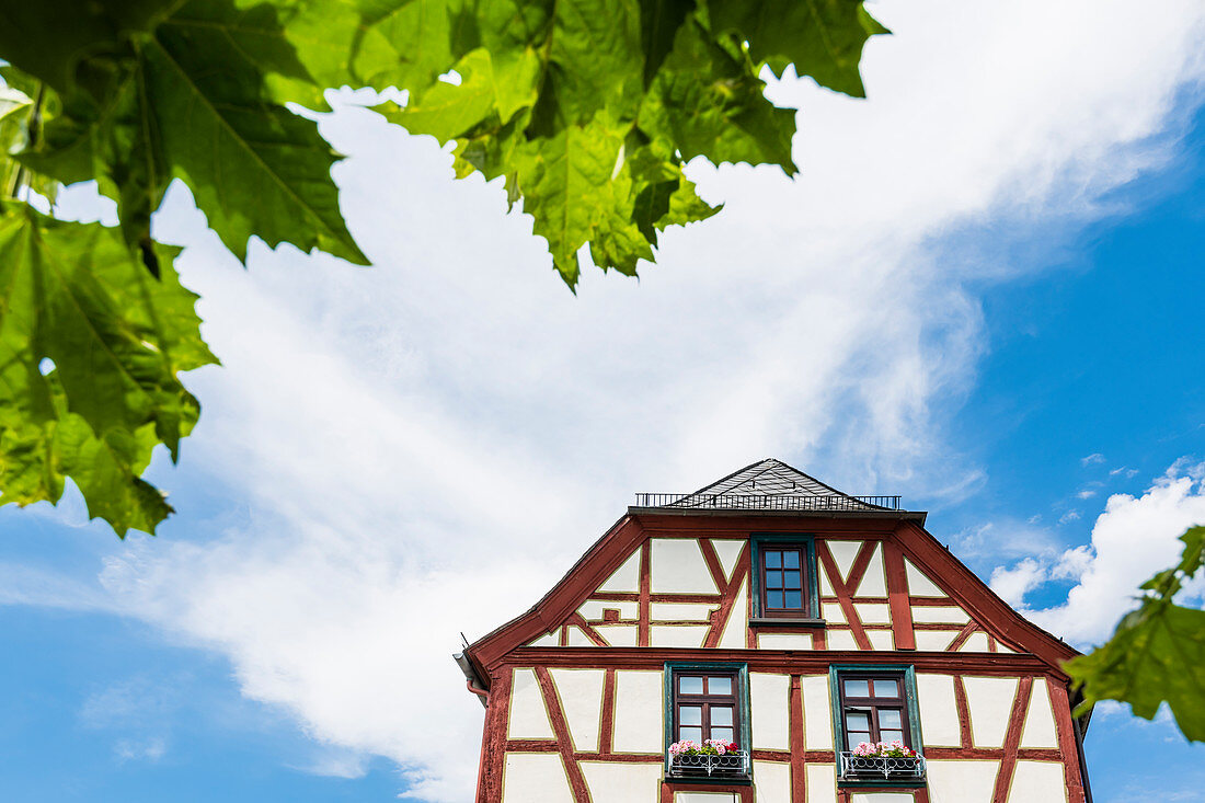 Half-timbered house with flower decoration in the old town, Eltville, Rheingau, Hesse, Germany