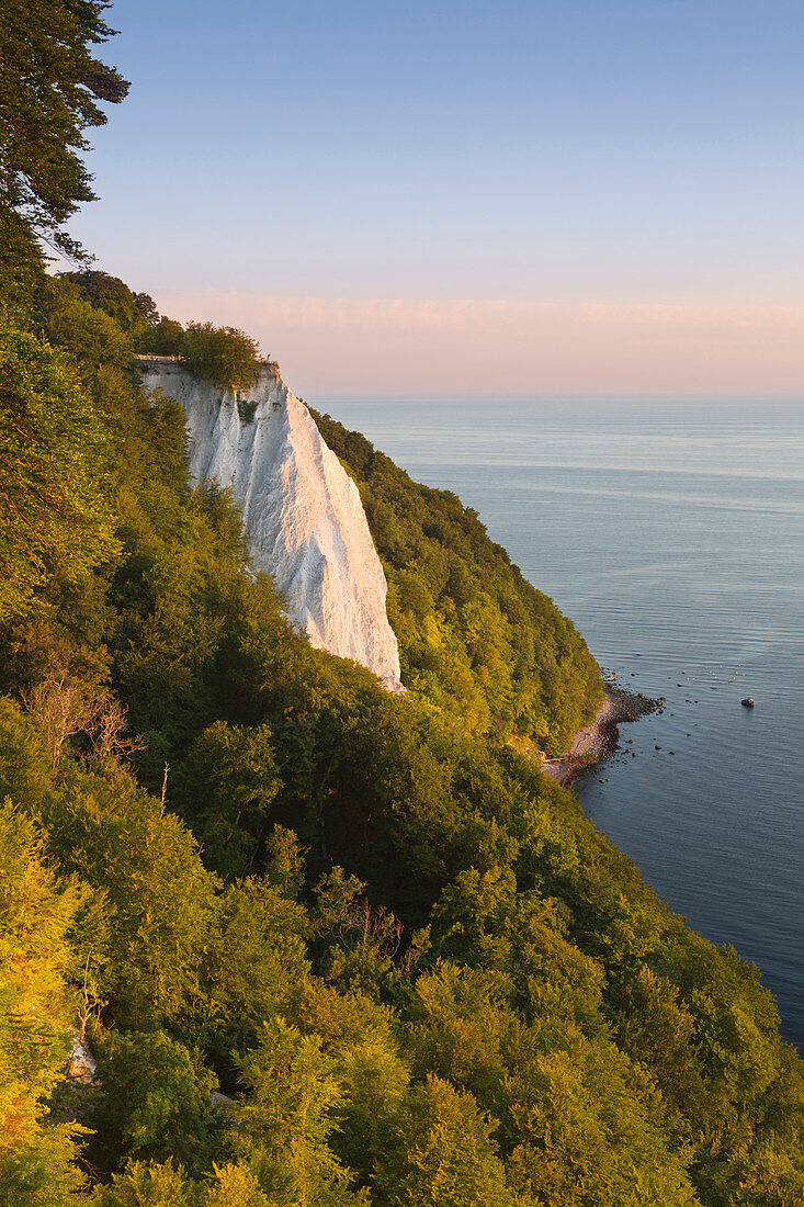 Blick zum Königsstuhl, Nationalpark Jasmund, Rügen, Ostsee, Mecklenburg-Vorpommern, Deutschland